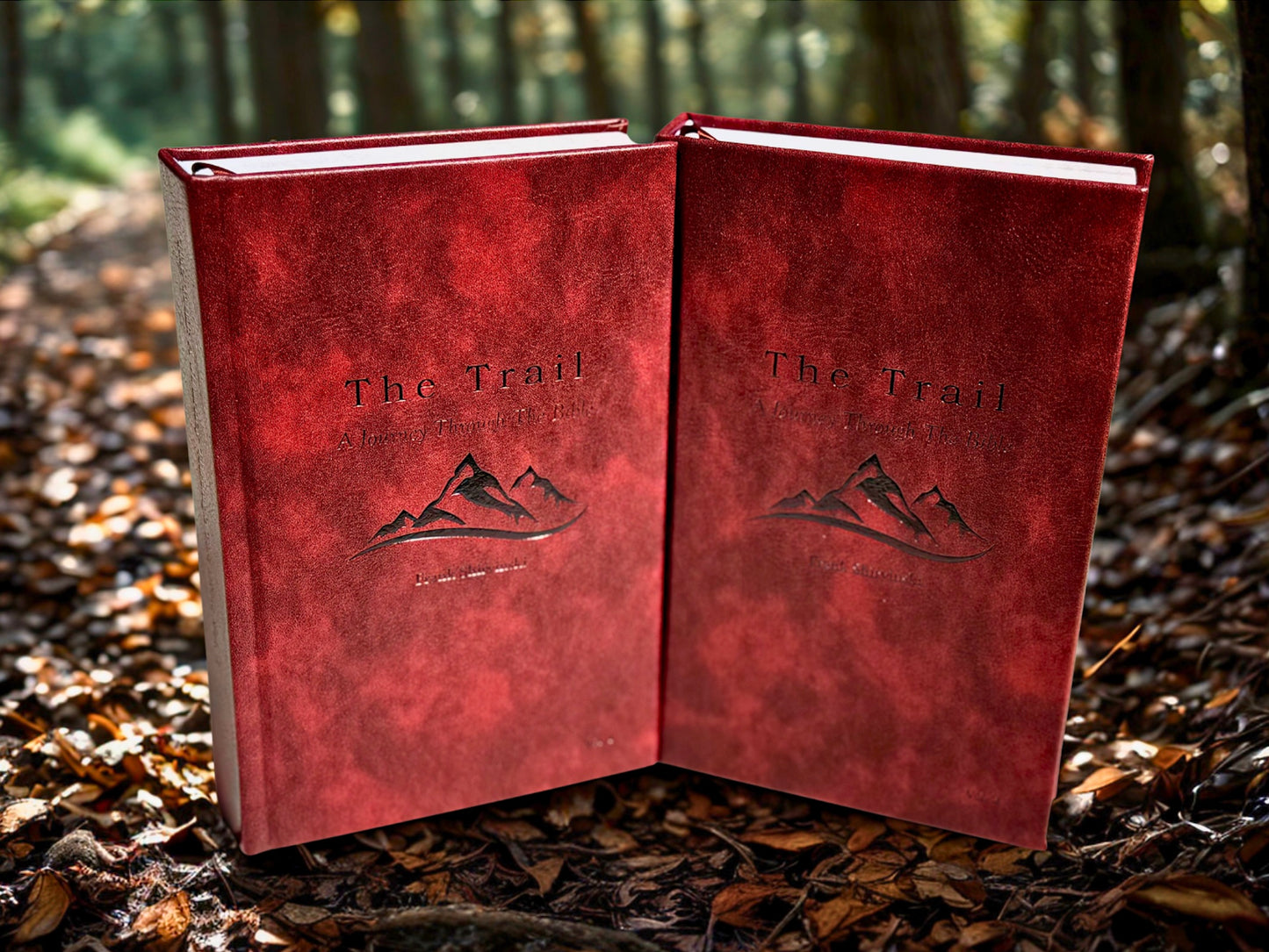 The Trail: A Journey Through the Bible